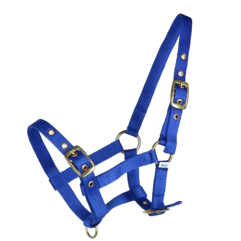 Ovega realistic halter big