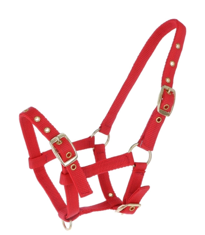 Ovega realistic halter big