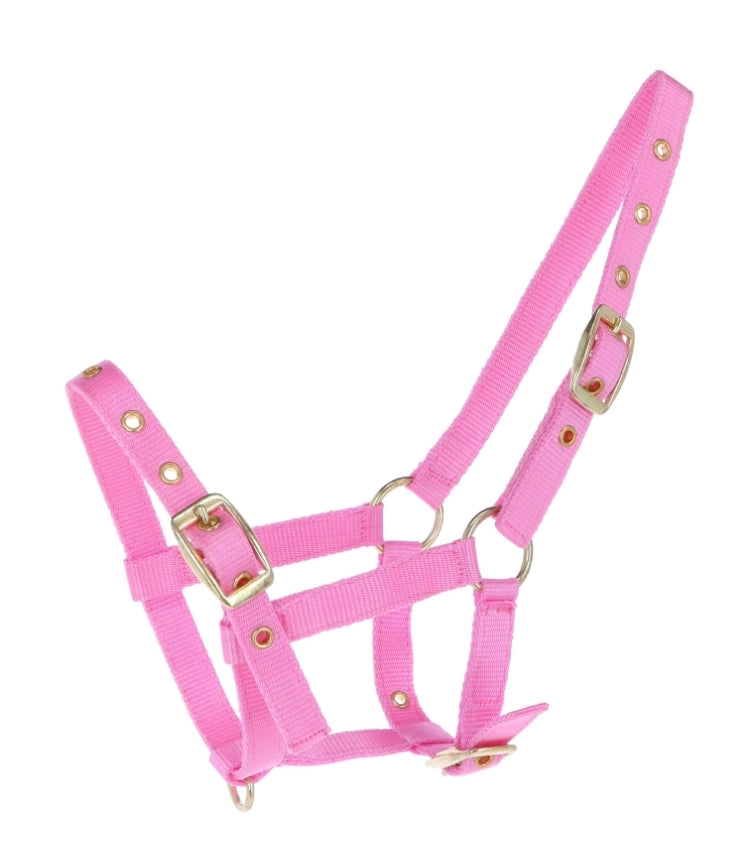 Ovega realistic halter big
