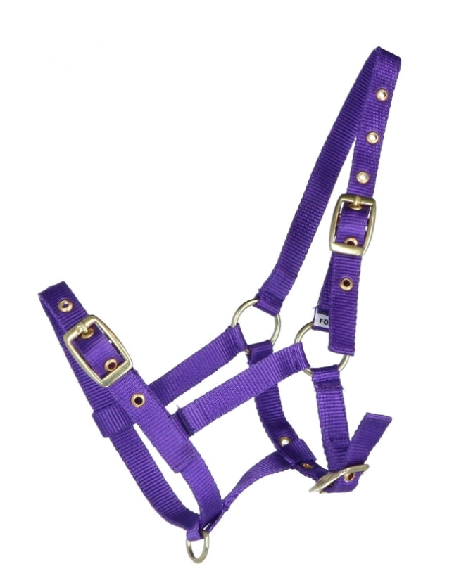Ovega realistic halter big