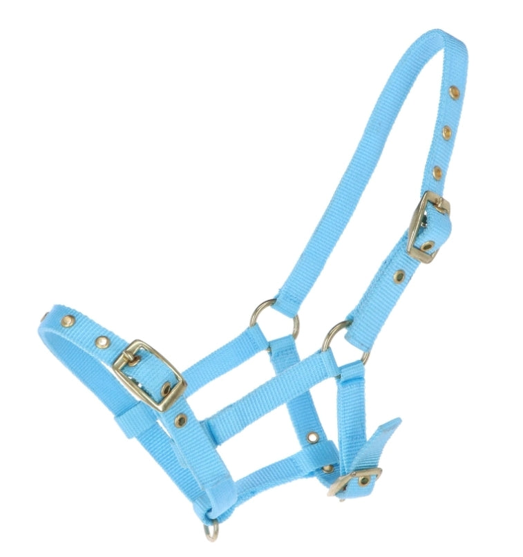 Ovega realistic halter big