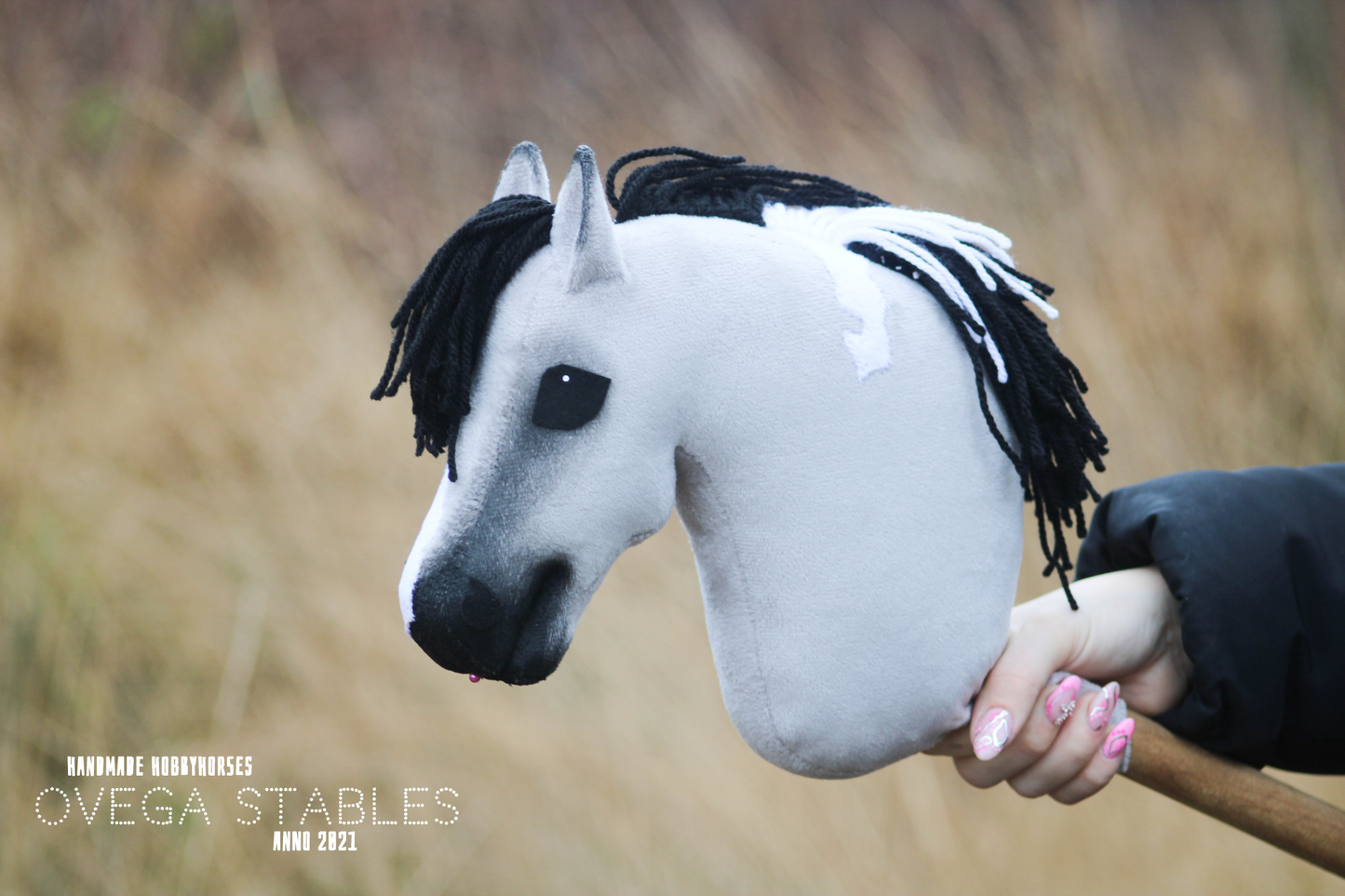 Ovega Hobbyhorse Foal OS' Manchester