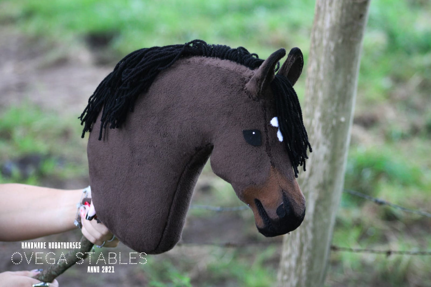 Ovega hobbyhorse special OSS' Ruffian