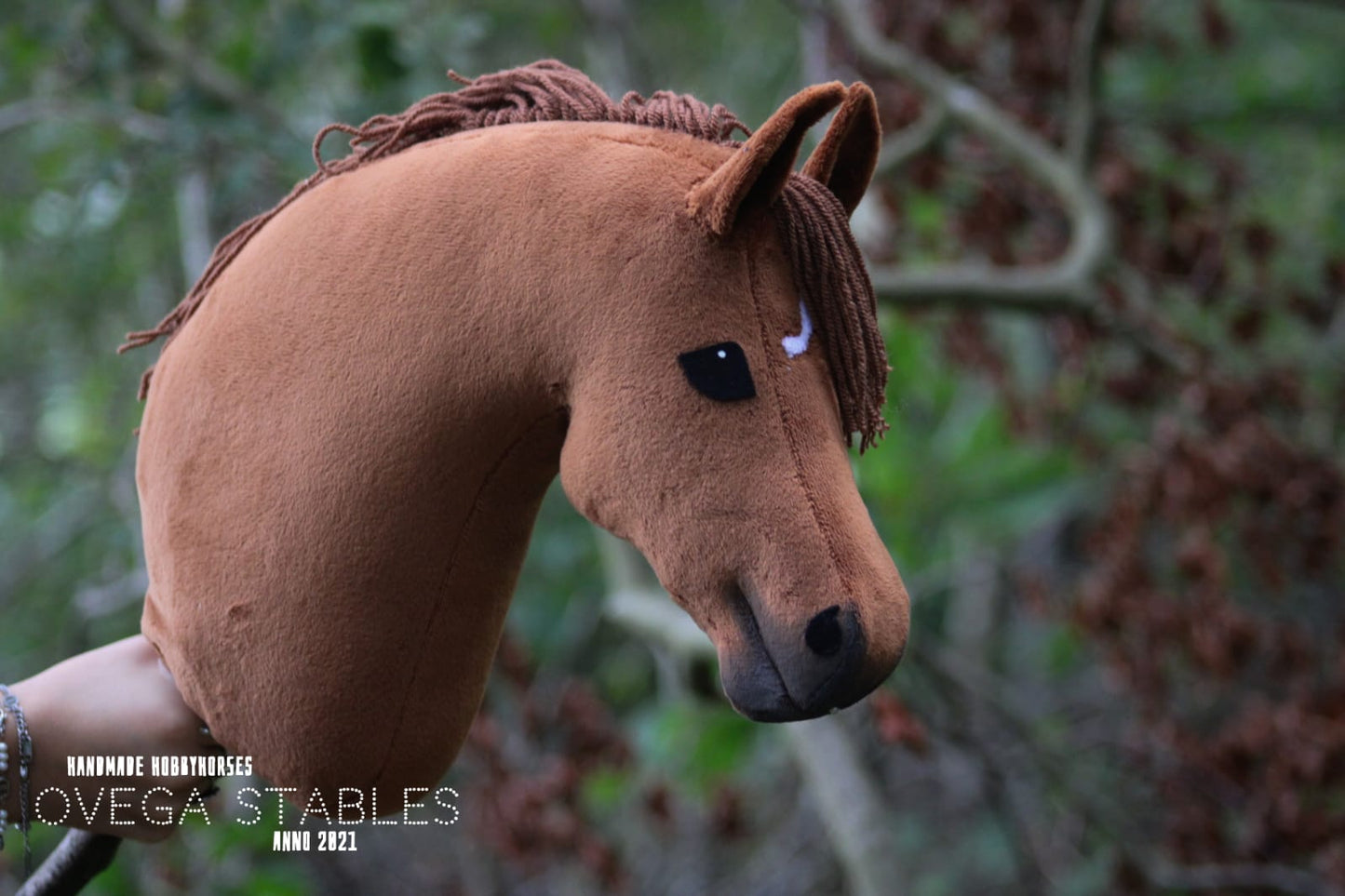 Ovega hobbyhorse special OSS' Phar Lap