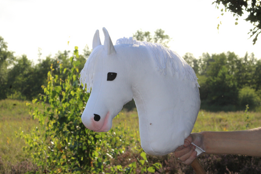 Ovega Hobbyhorse pony OS' Manchester