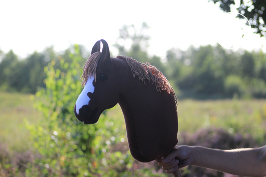 Ovega Hobbyhorse L OS' Hay